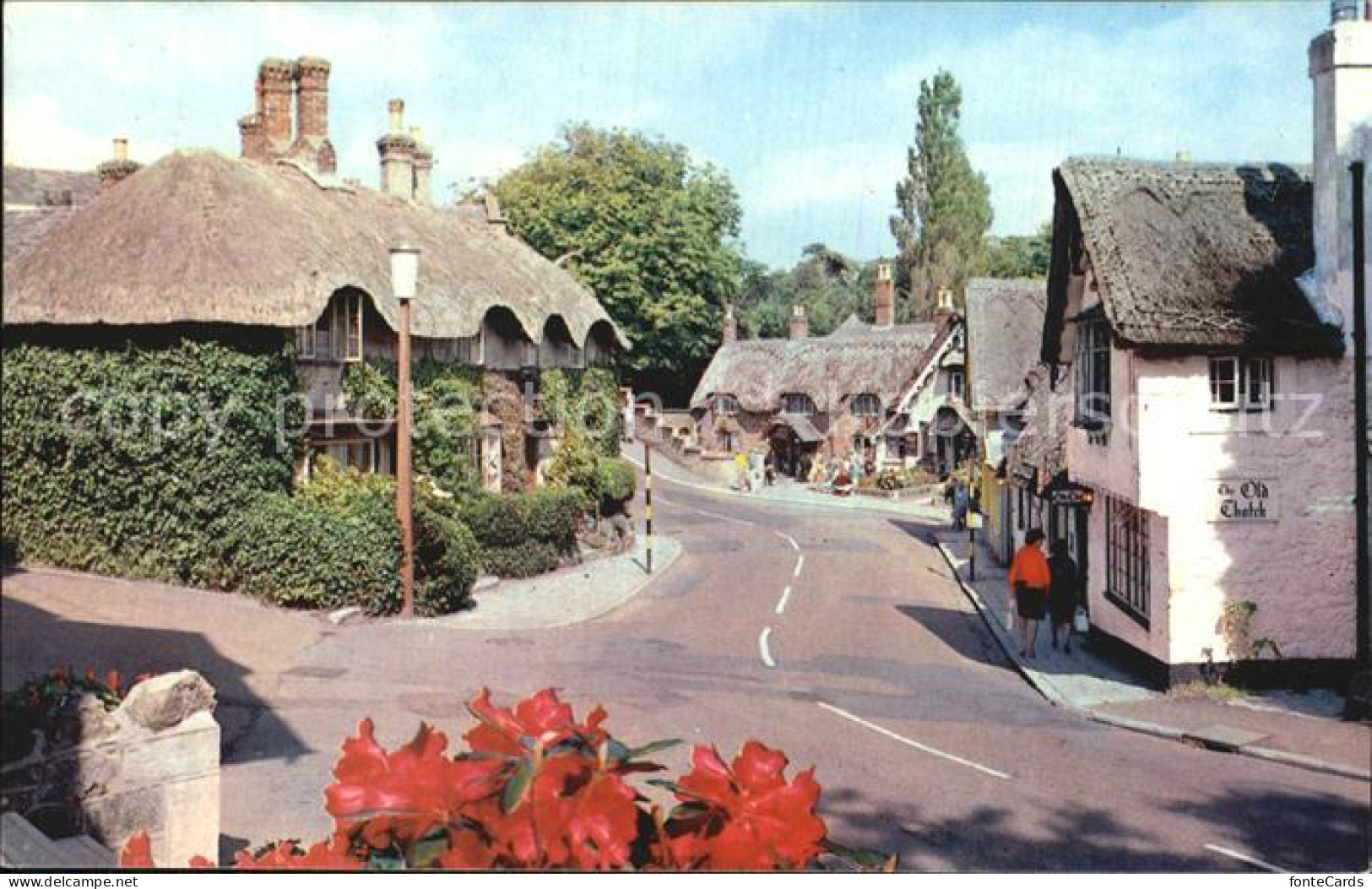 72574698 Shanklin Old Village Isle Of Wight - Otros & Sin Clasificación