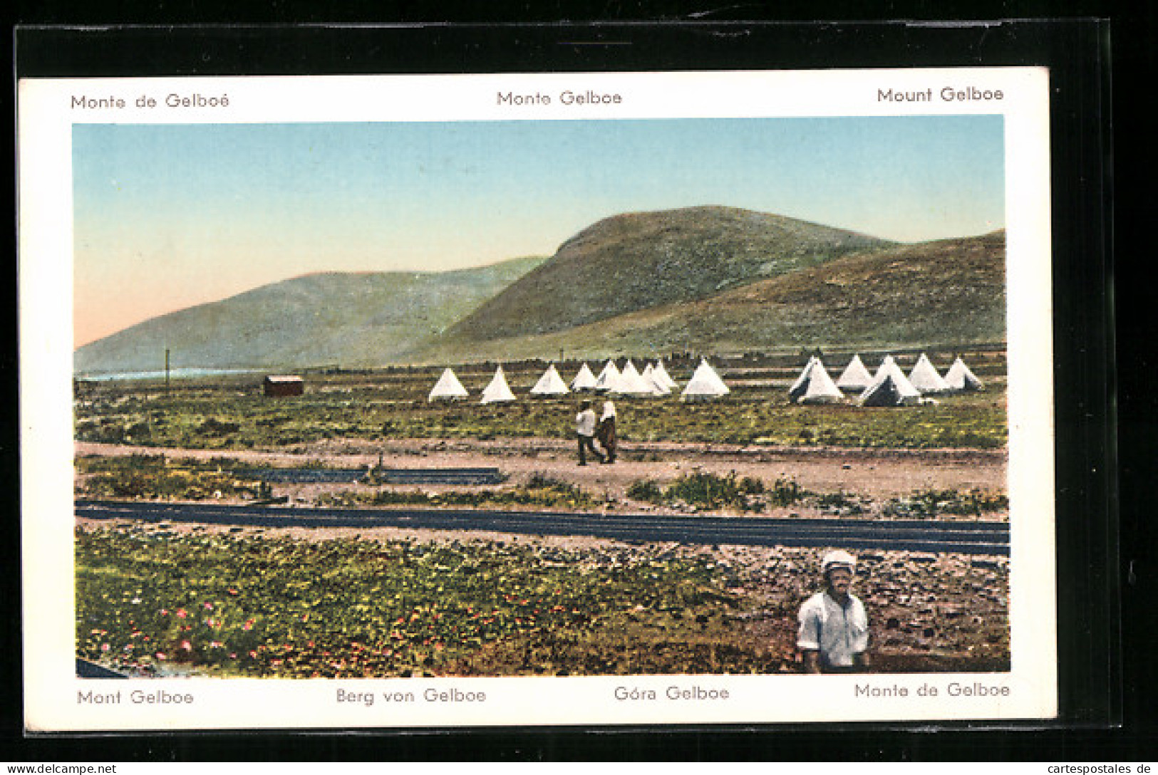 AK Gelboe, Zelte Vor Dem Berg Von Gelboe  - Palestina