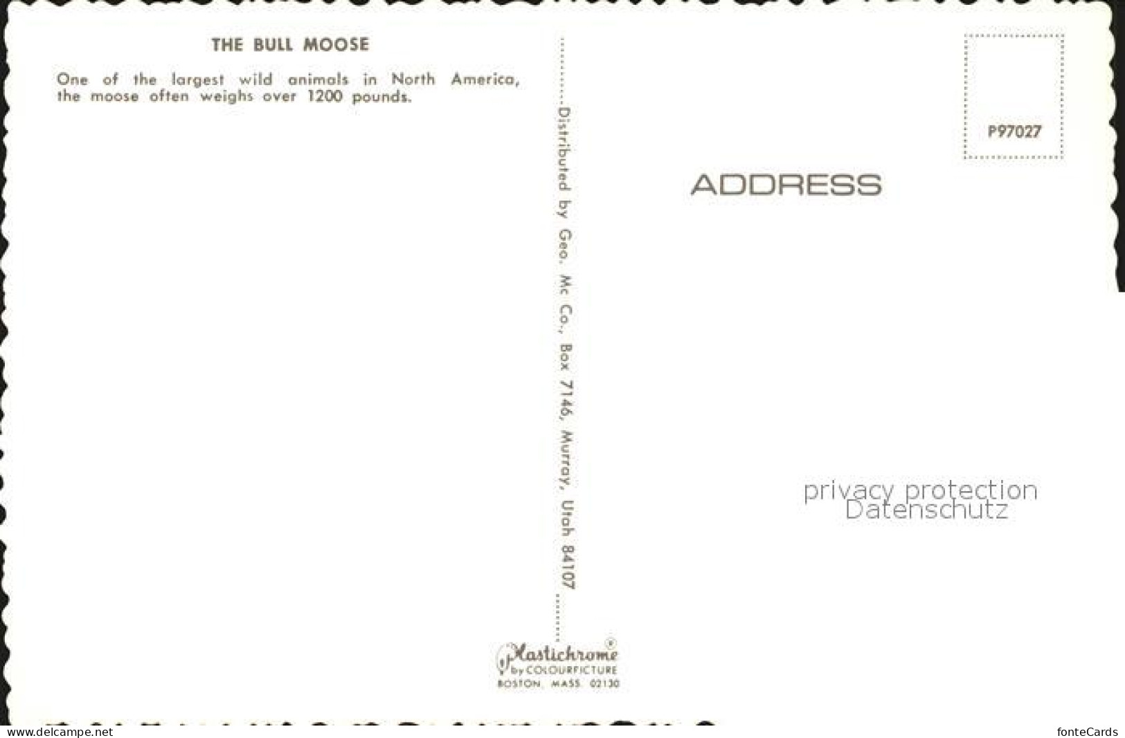 72528645 Utah_US-State Bull Moose - Otros & Sin Clasificación