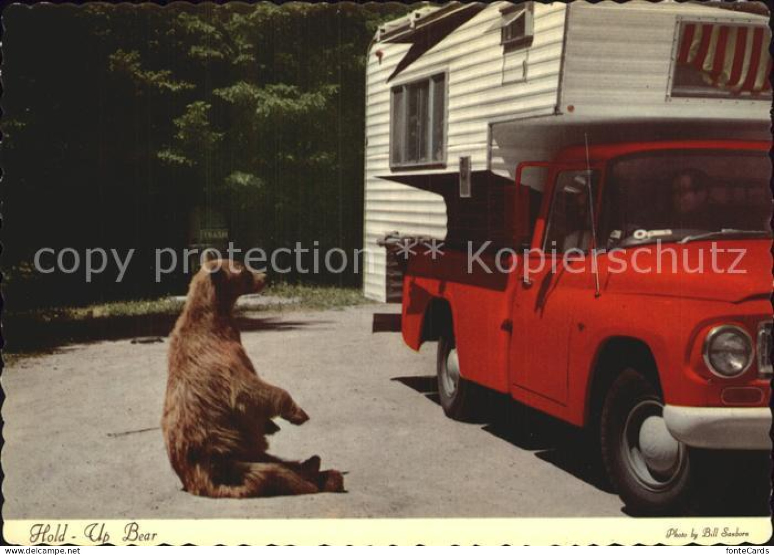 72528644 Yellowstone_National_Park Hold Up Bear - Sonstige & Ohne Zuordnung