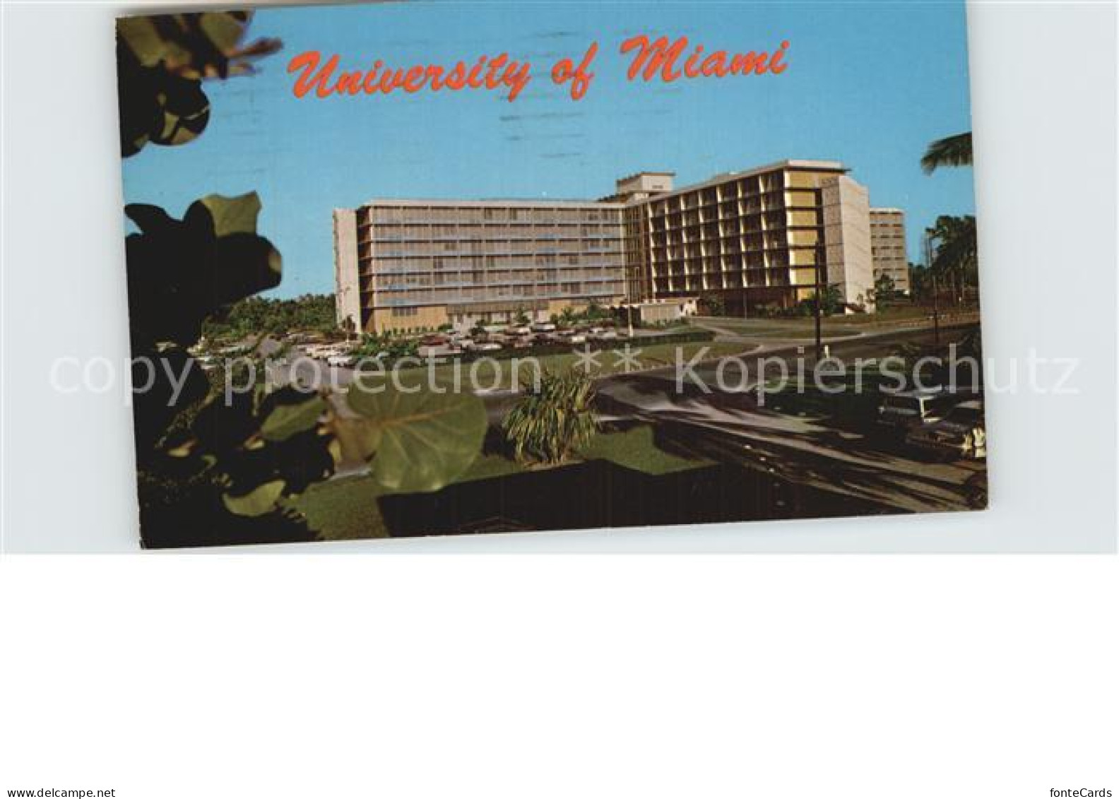 72526739 Miami_Florida University New Residence Hall For Women - Autres & Non Classés