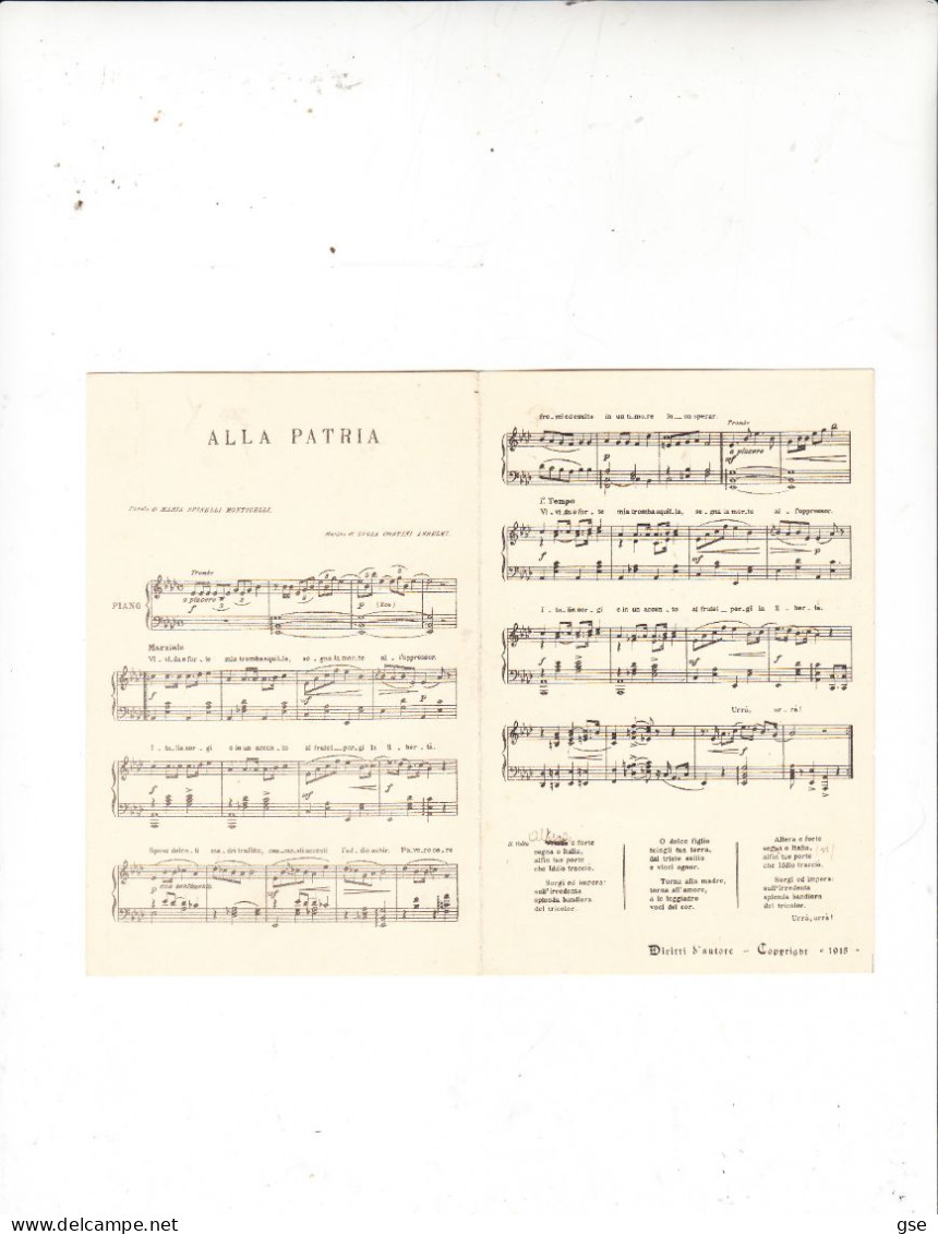 ALLA PATRIA Di Anselmi 1915 - Stampato Su Cartolina Postale  (privata) - Andere & Zonder Classificatie