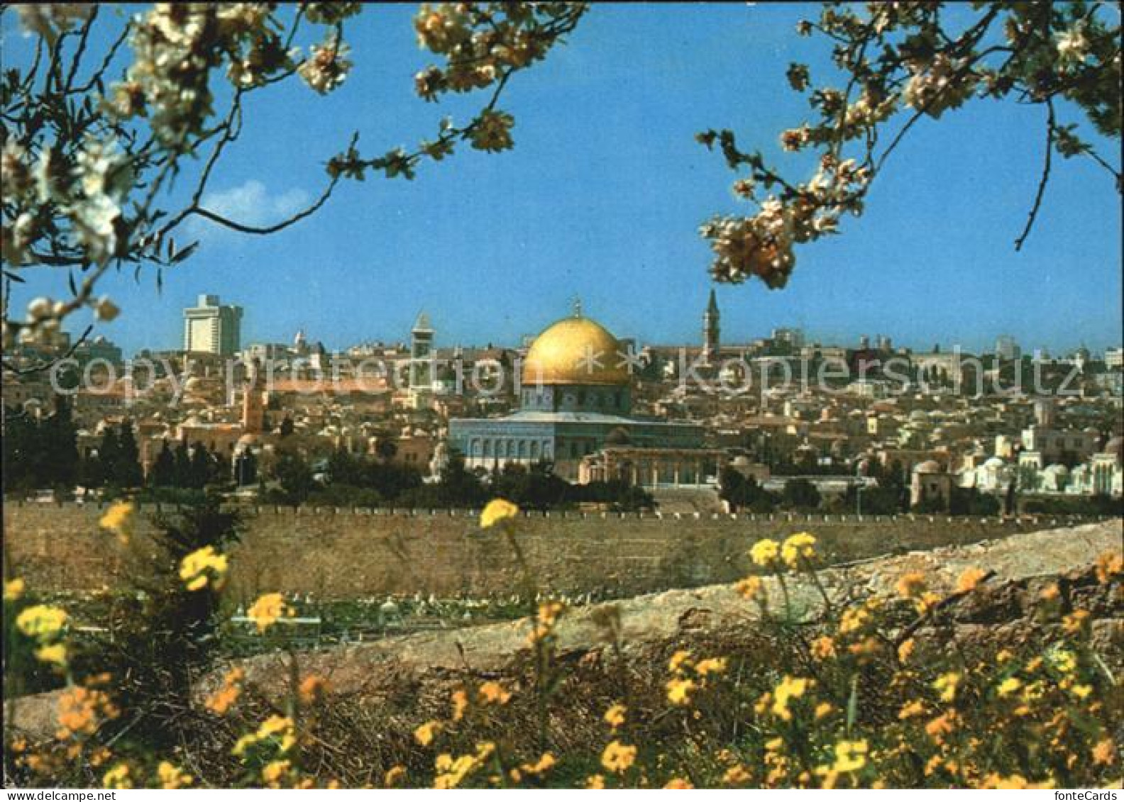 72509895 Jerusalem Yerushalayim Altstadt Blick Vom Olivenberg  - Israele