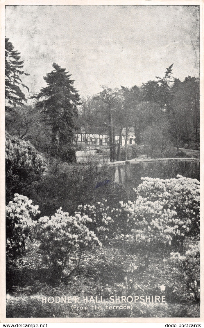 R299714 Shropshire. Hodnet Hall. From The Terrace. Music And Dance Festival. 196 - Monde