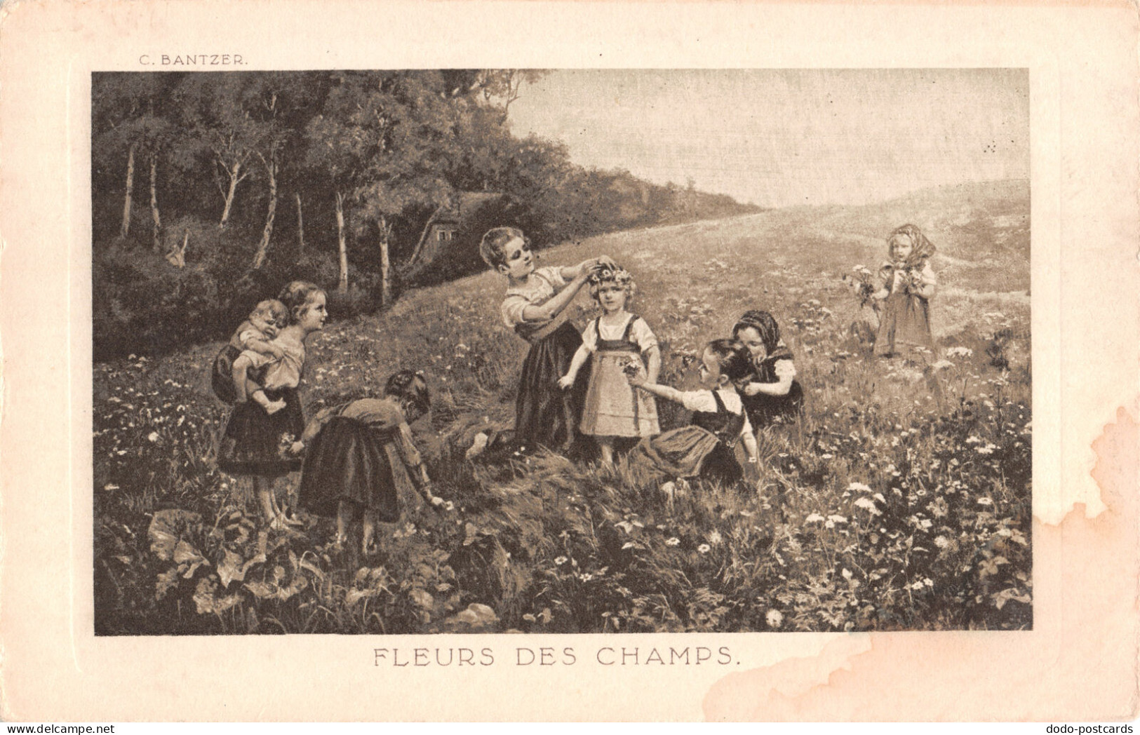 R299525 Fleurs Des Champs. J. N. And Co. C. Bantzer. Postcard - Monde