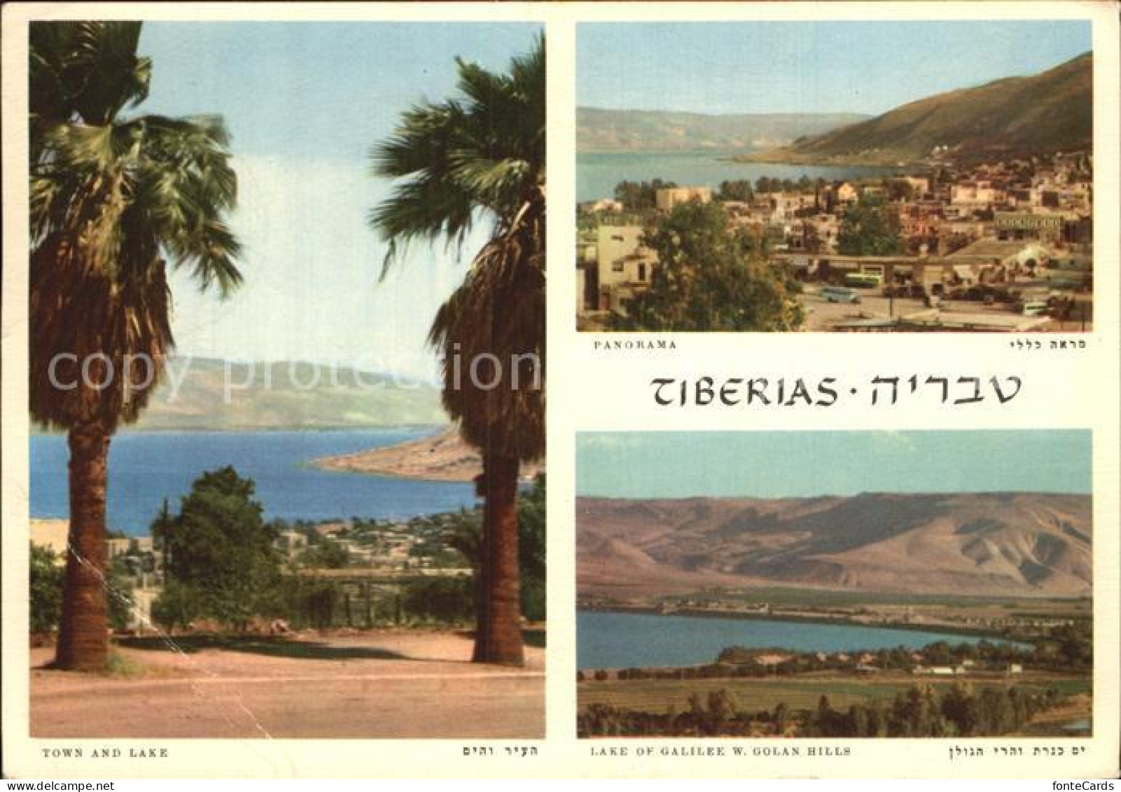 72505875 Tiberias Lake Of Gelilee  Tiberias - Israele