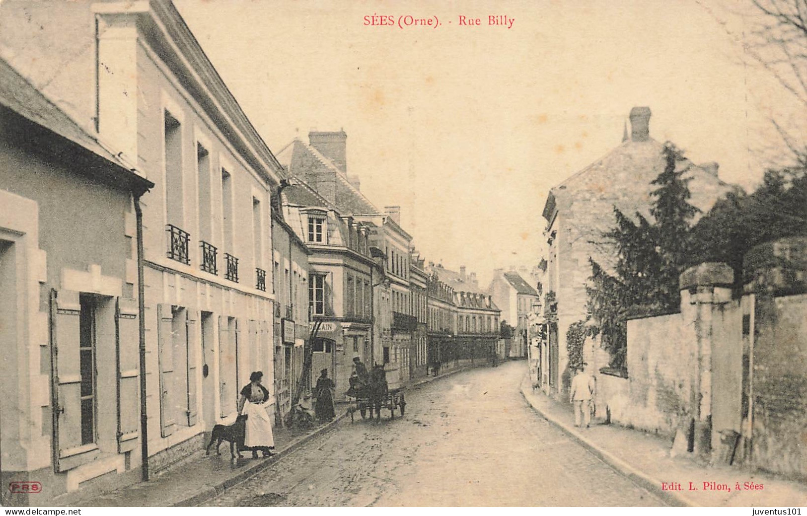 CPA Sées-Rue Billy-Timbre     L2907 - Sees