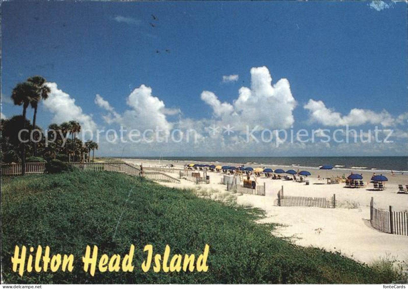 72498982 Hilton_Head_Island Strand - Sonstige & Ohne Zuordnung