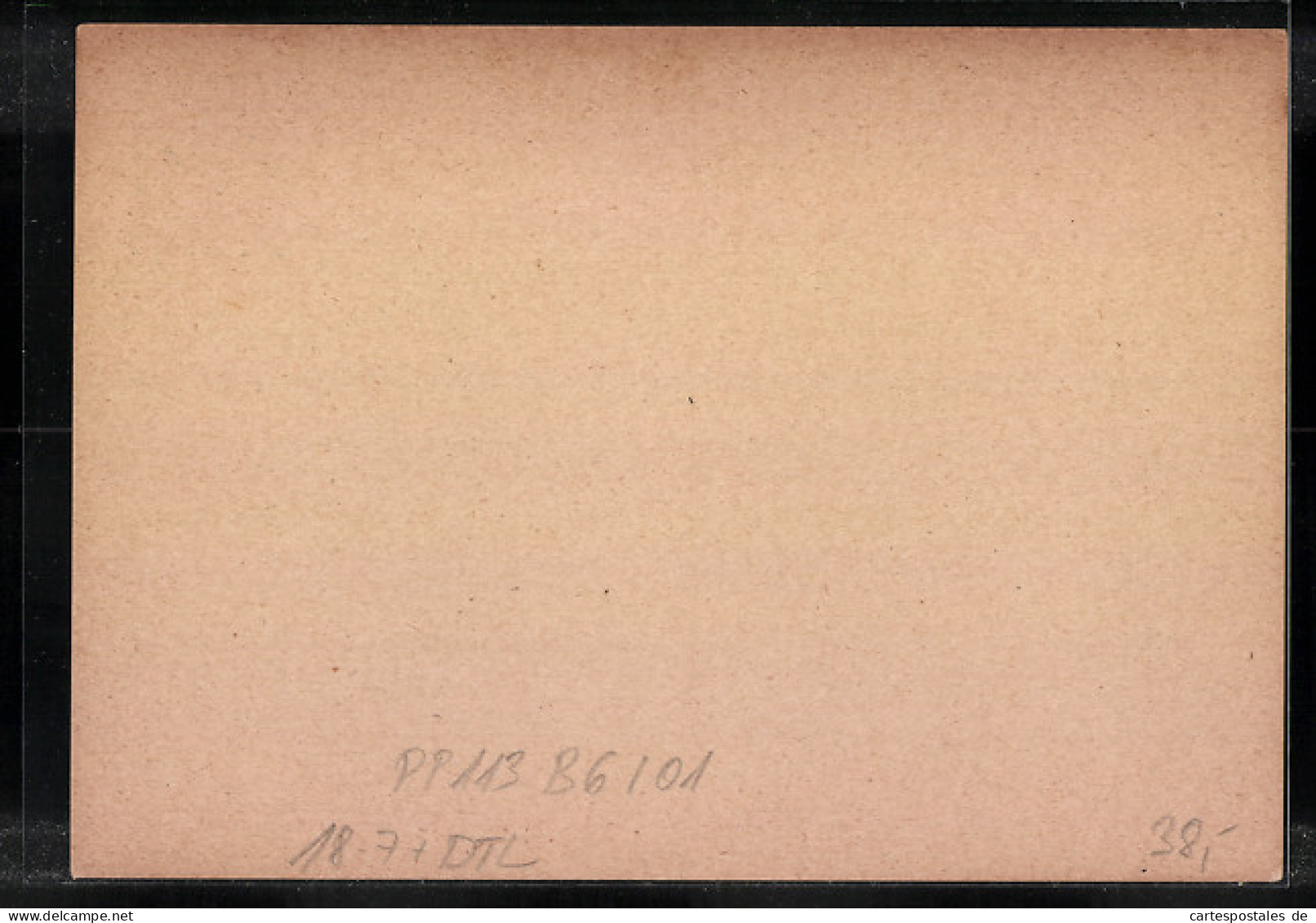 AK Ganzsache PP113B6 /01: Borna, Buchdruckerei Von Robert Noske  - Briefkaarten