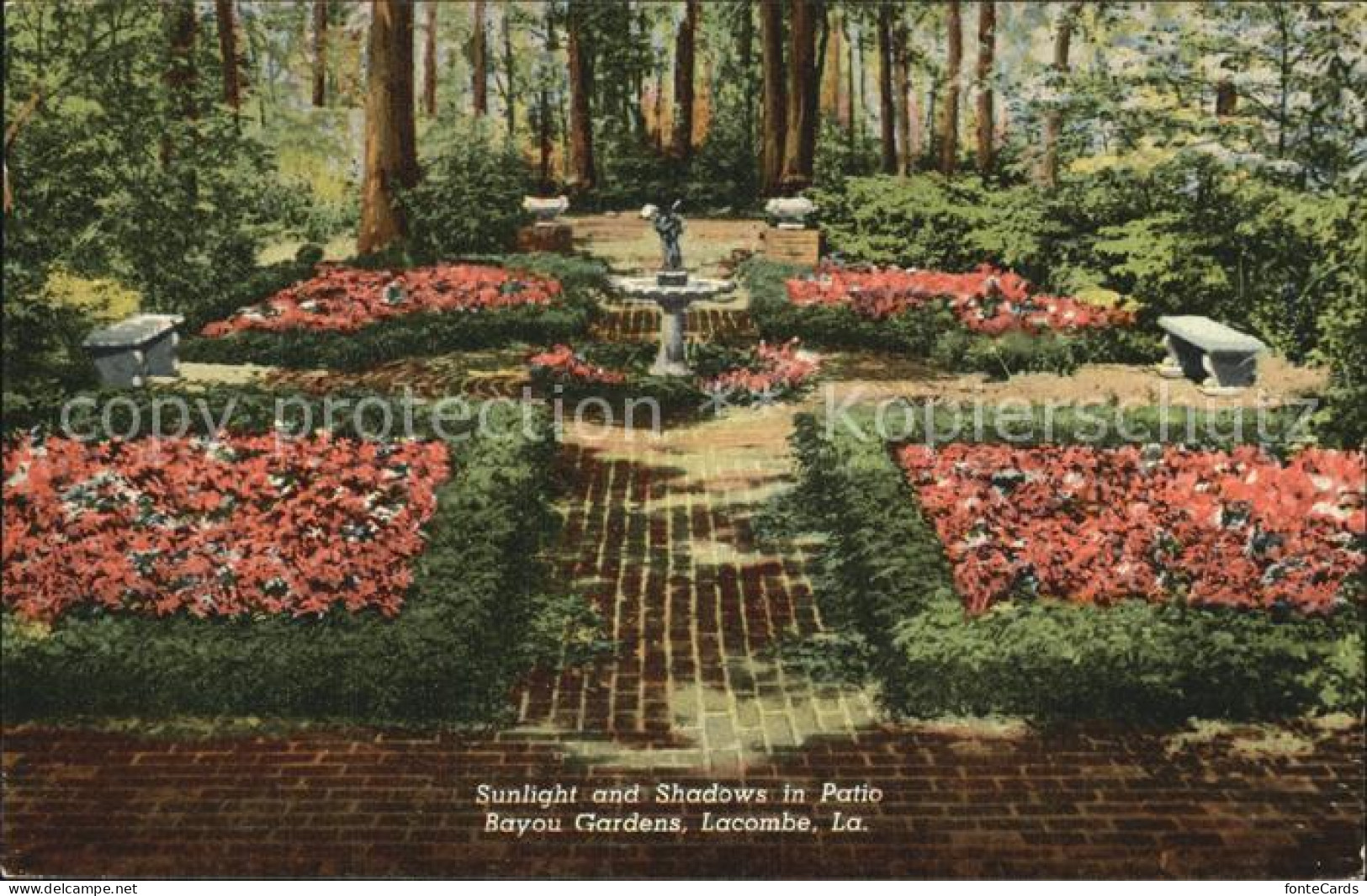 72492536 Lacombe_Louisiana Patio Bayou Garden - Sonstige & Ohne Zuordnung