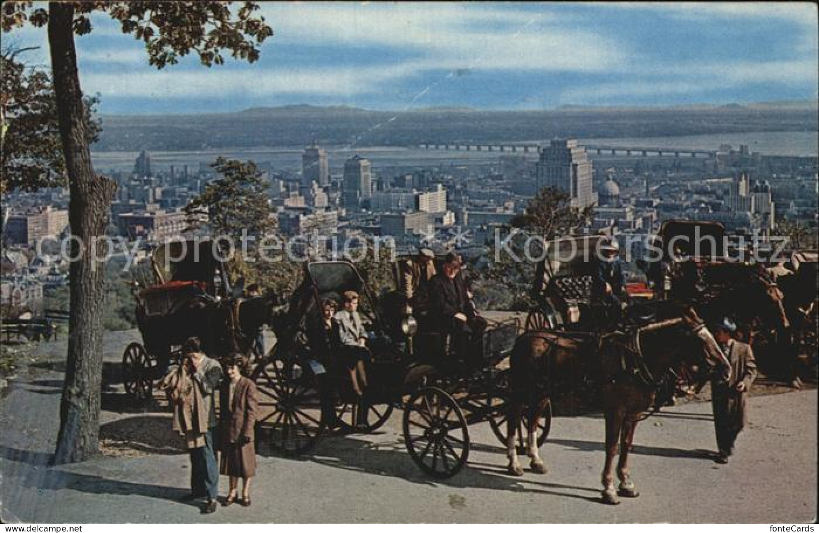 72486994 Montreal Quebec Caleches Sur Le Mont Royal Horse Drawn Carriages Montre - Unclassified