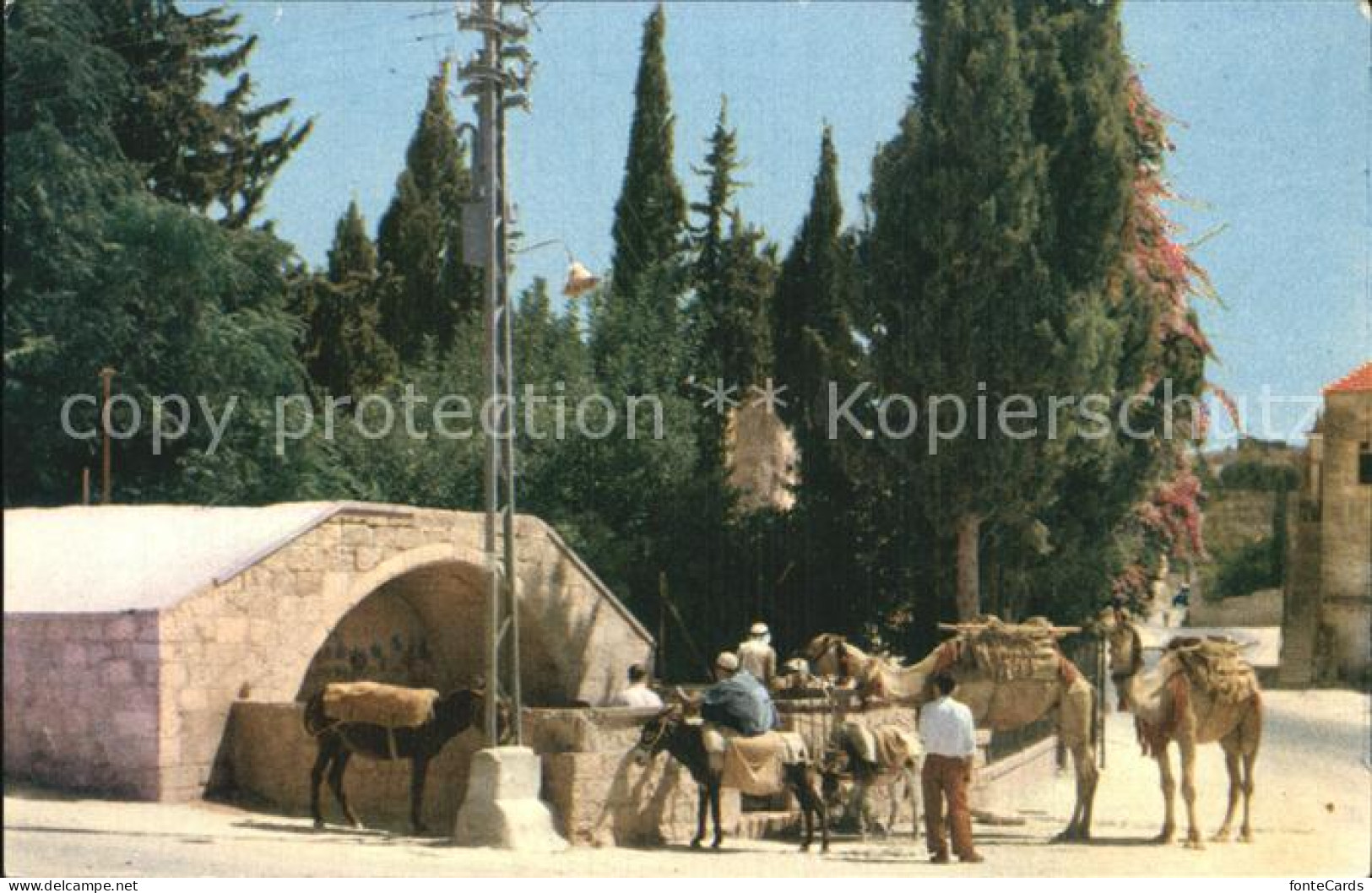 72484331 Nazareth Israel Public Well  - Israel
