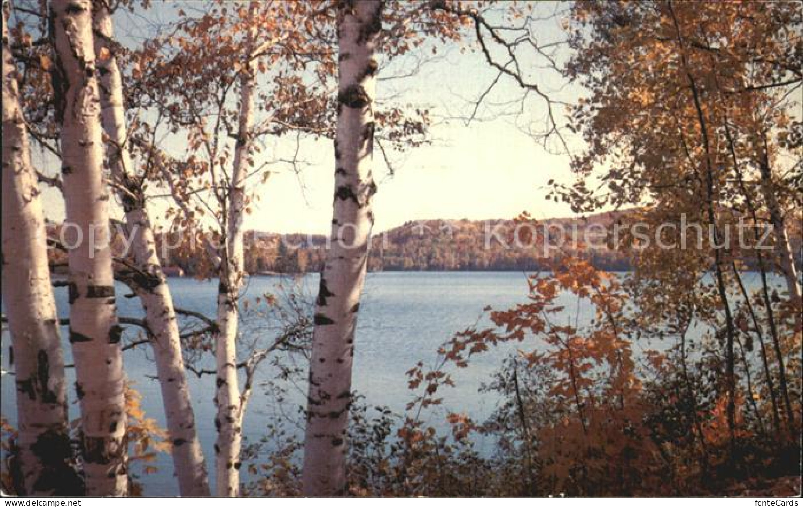 72482912 Muskoka Lakes Lake Of Bays At Autumn Muskoka Lakes - Zonder Classificatie