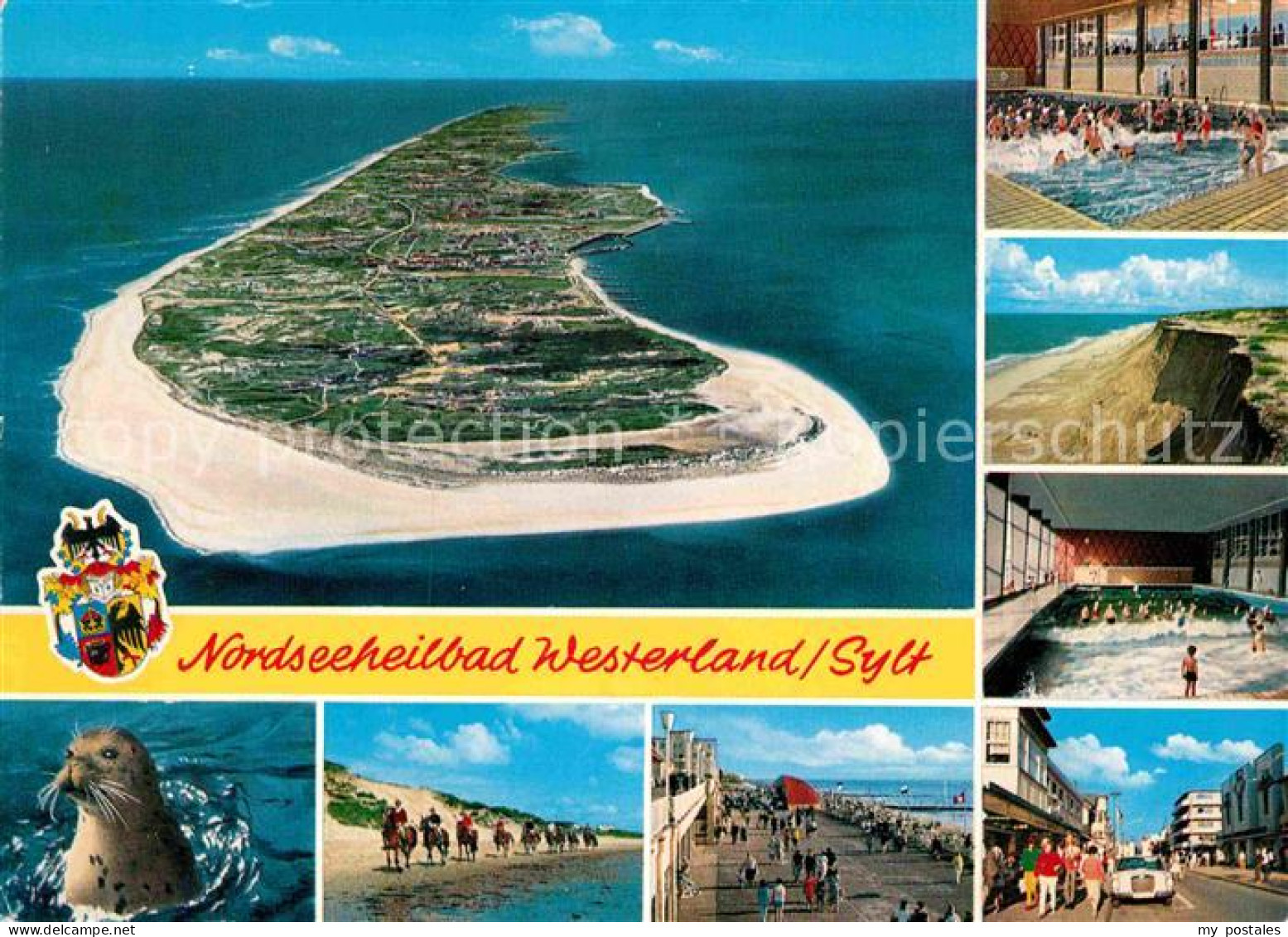 72860136 Westerland Sylt Nordseeheilbad Insel Fliegeraufnahme Seehund Reiten Am  - Andere & Zonder Classificatie
