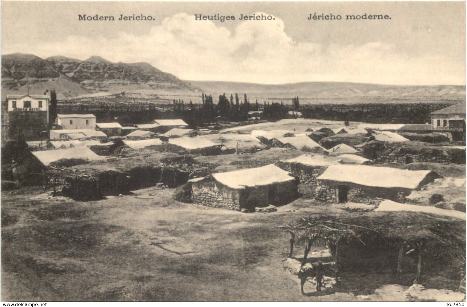Heutiges Jericho - Palestine