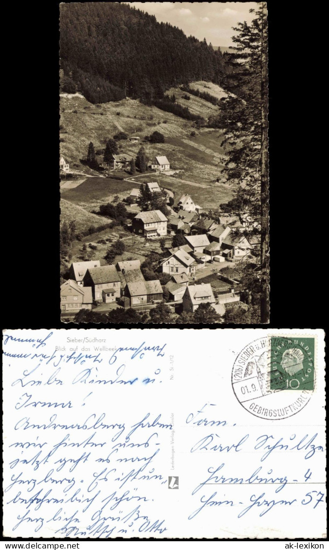Sieber (Herzberg Am Harz) Panorama-Ansicht Blick Auf Das Wellbeek 1959 - Andere & Zonder Classificatie