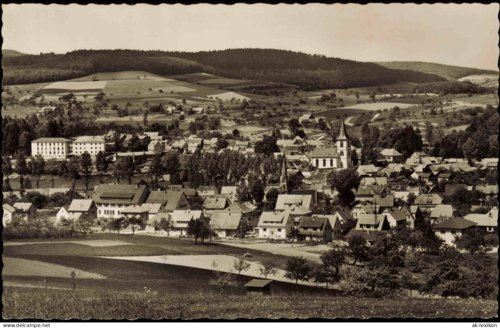 Ansichtskarte Reichelsheim (Odenwald) Panorama Gesamtansicht 1960 - Altri & Non Classificati