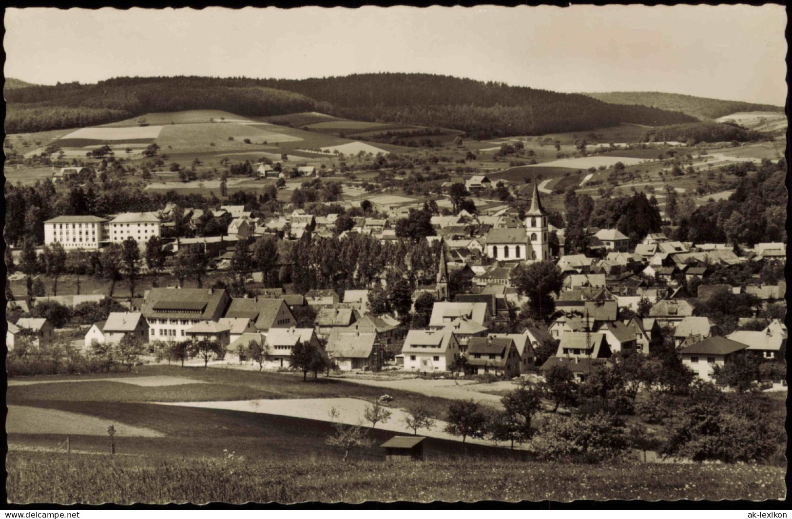 Ansichtskarte Reichelsheim (Odenwald) Panorama Gesamtansicht 1960 - Autres & Non Classés