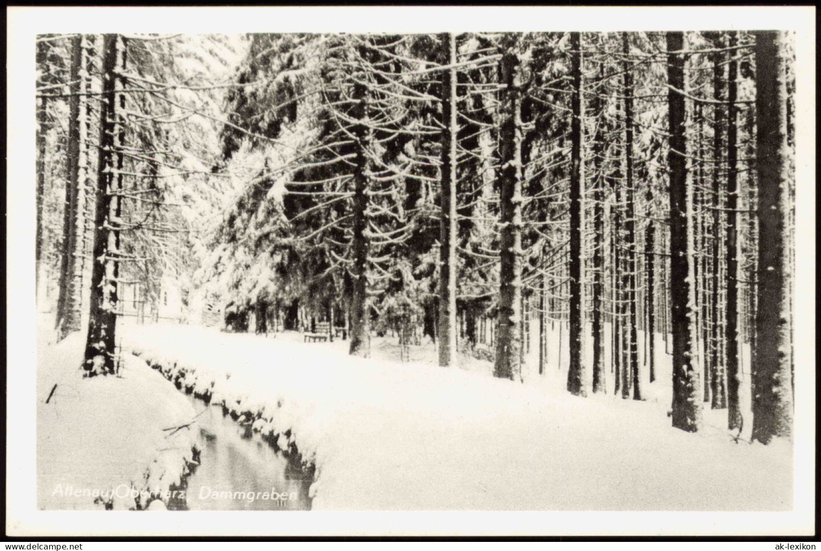 Ansichtskarte Altenau-Clausthal-Zellerfeld Dammgraben Im Winter 1960 - Altenau