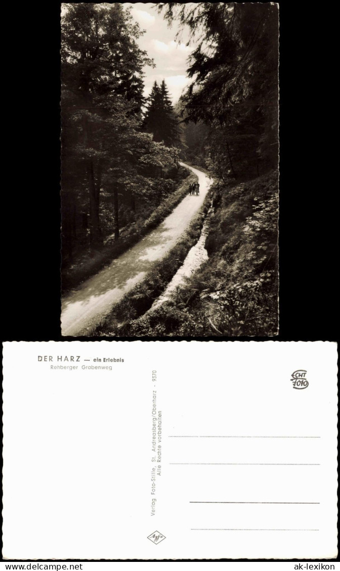 Ansichtskarte  Wanderweg Im Harz Oberharz (Allgemein) 1965 - Ohne Zuordnung
