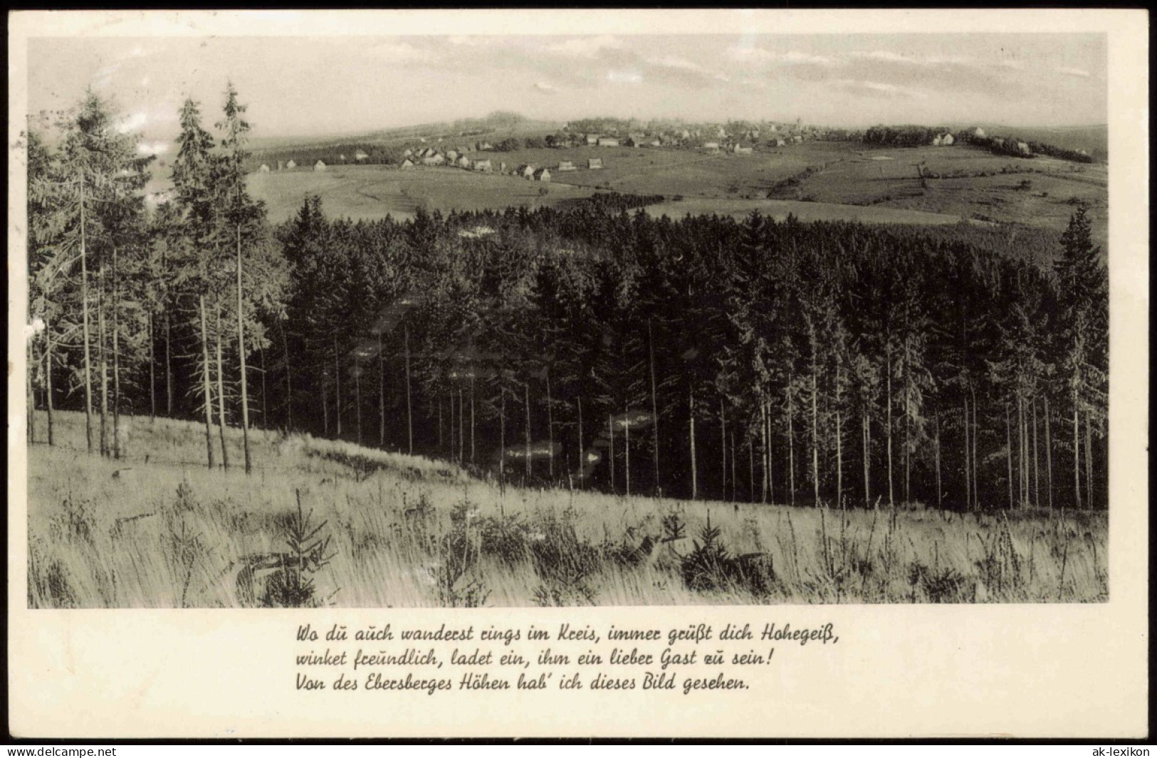 Ansichtskarte Hohegeiß-Braunlage Panorama-Ansicht Blick Vom Ebersberg 1959 - Braunlage