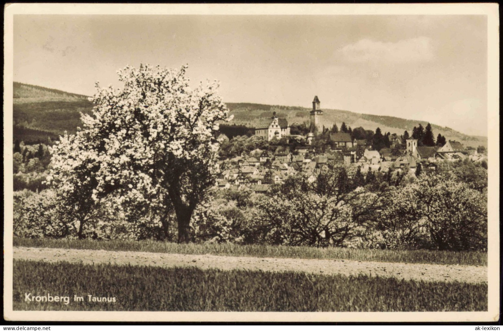 Ansichtskarte Kronberg / Cronberg (Taunus) Panorama-Ansicht 1959 - Kronberg