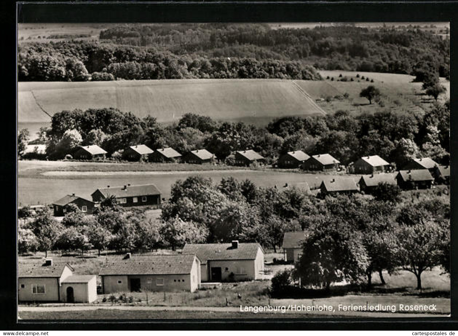 AK Langenburg Bei Hohenlohe, An Der Feriensiedlung Roseneck  - Autres & Non Classés