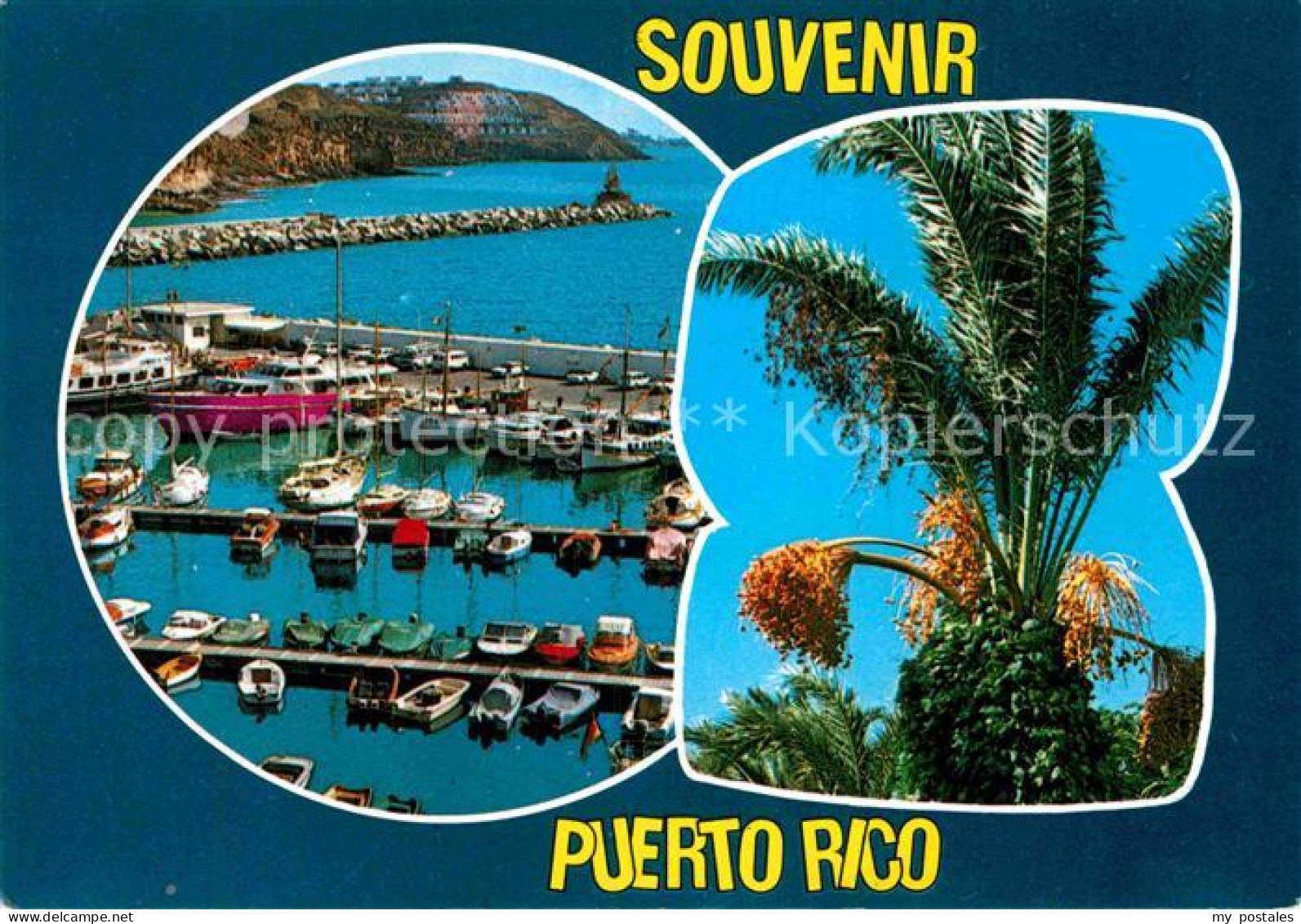 72858463 Puerto Rico Gran Canaria Hafenpartie Palmen Puerto Rico Gran Canaria - Other & Unclassified