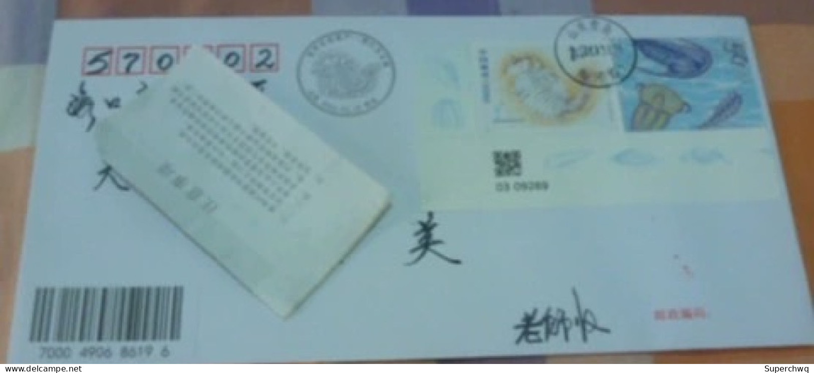 China Posted Cover,with 2024-4 World Natural Heritage Site - Chengjiang Fossil Site,First Day Actual Seal, Qingdao Comme - Enveloppes