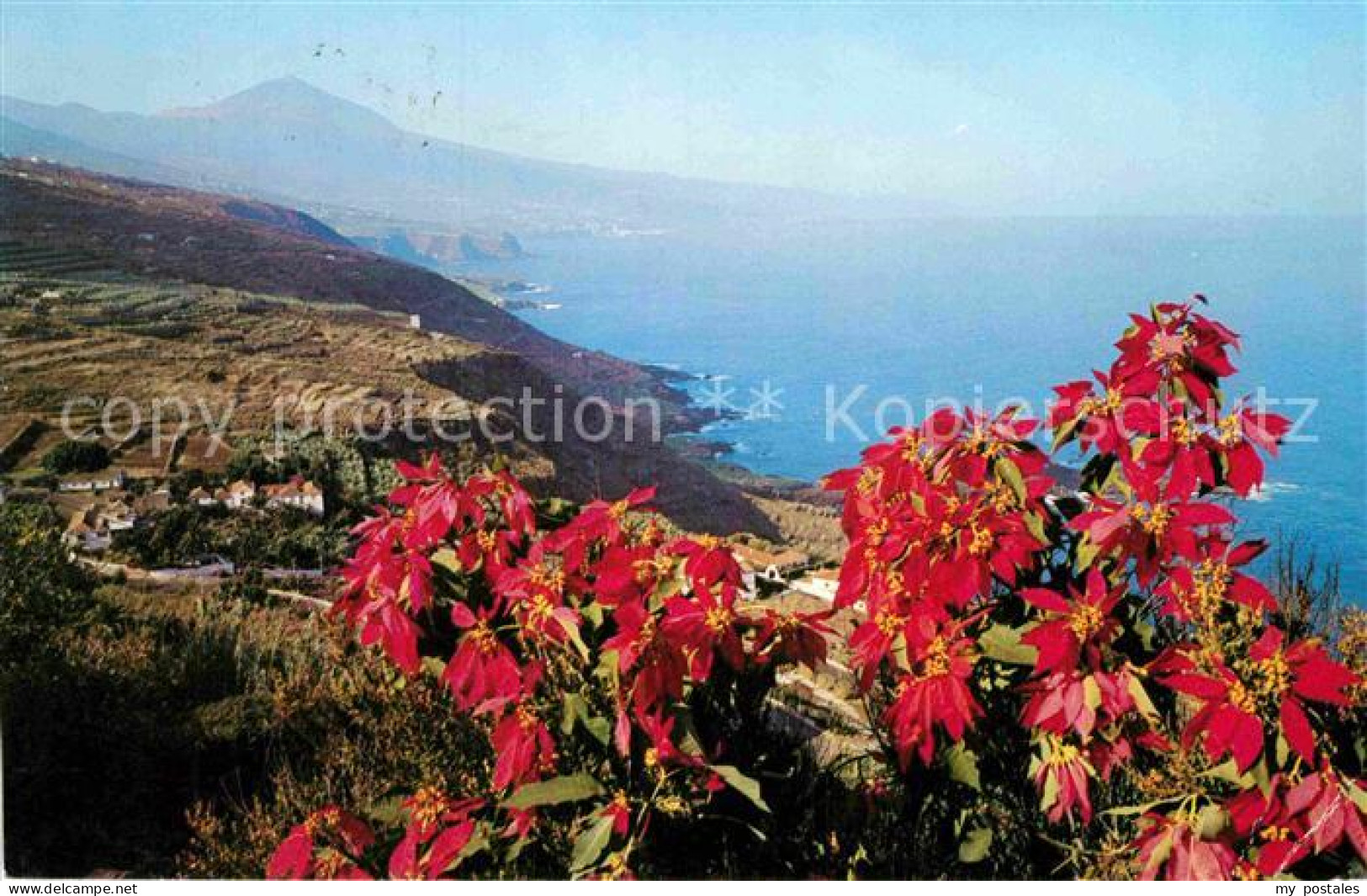 72857458 Teneriffa Mit Vulkan Teide Teneriffa - Other & Unclassified