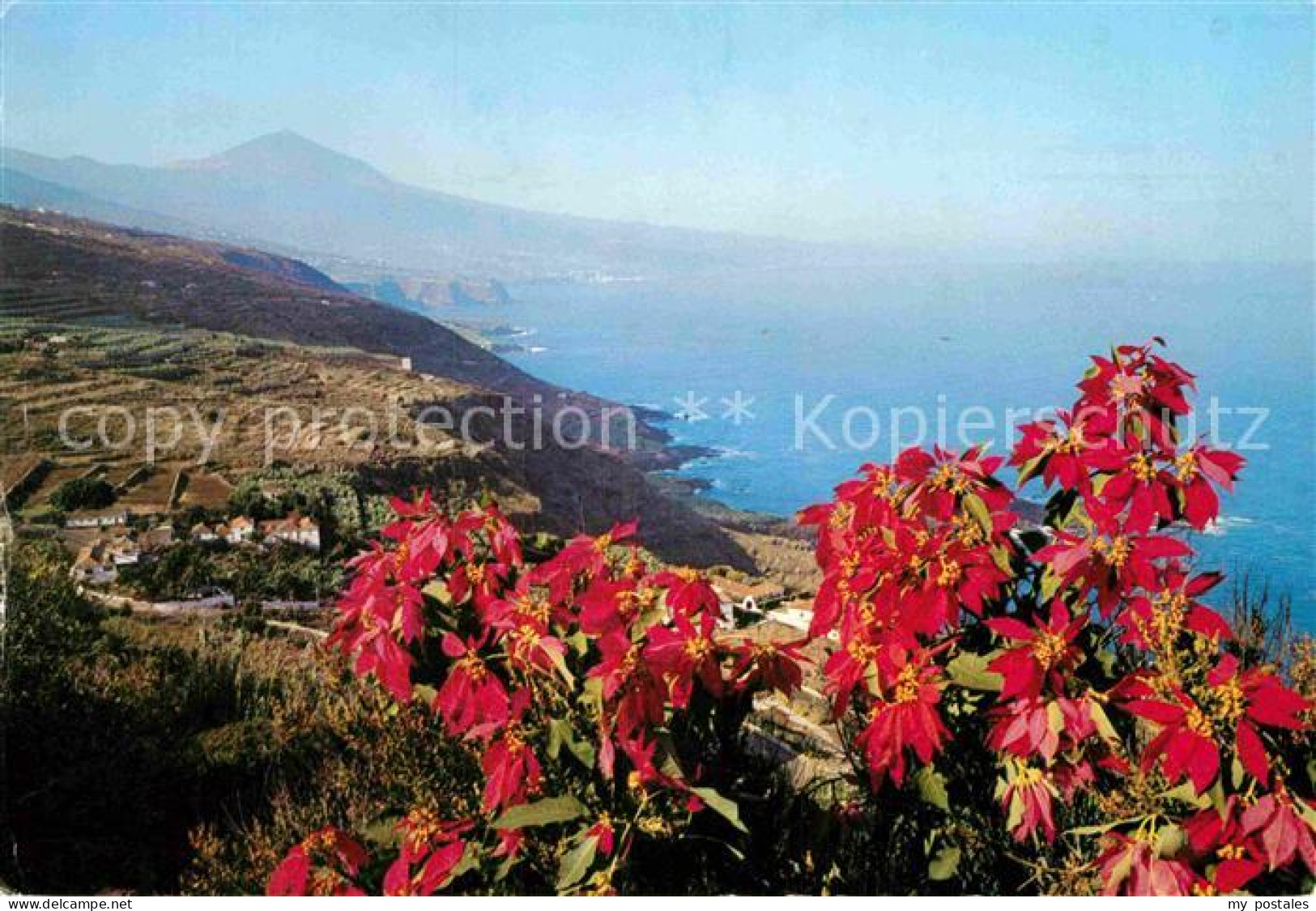 72857445 Teneriffa Mit Vulkan Teide Teneriffa - Andere & Zonder Classificatie