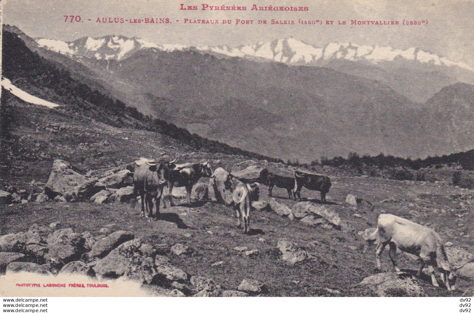 ARIEGE AULUS LES BAINS PLATEAU DU PORT DE SALEIX ET LE MONT VALLIER - Autres & Non Classés