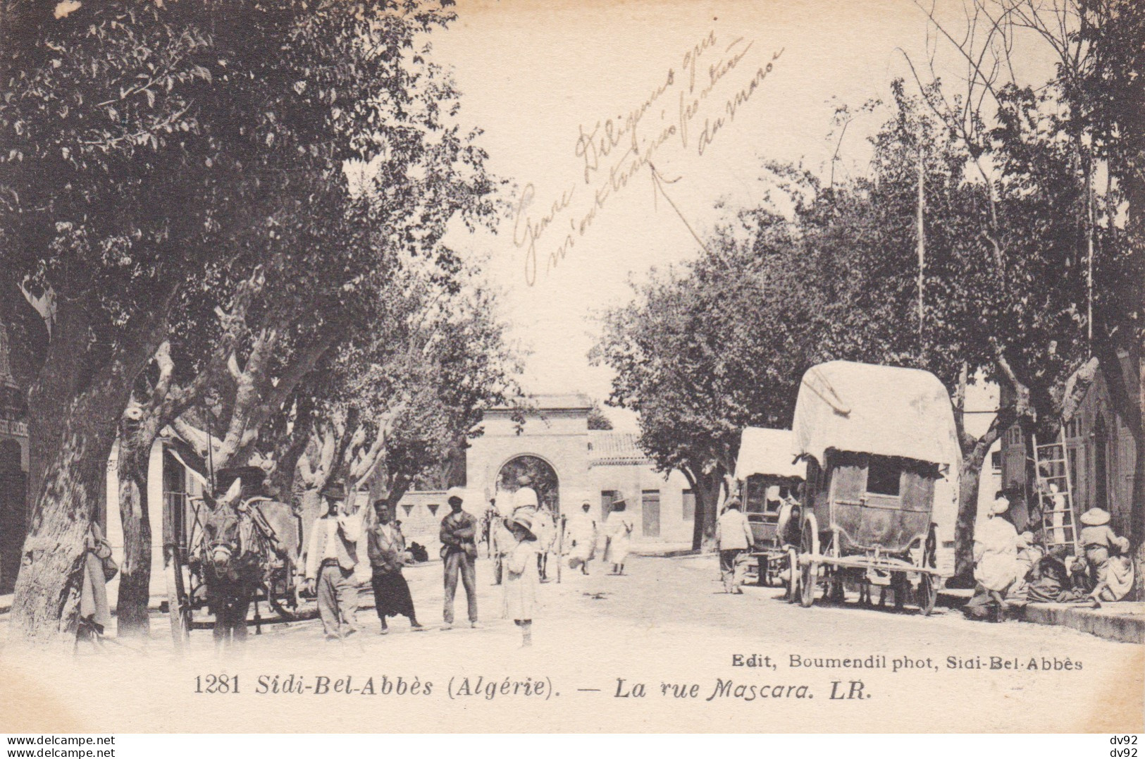 ALGERIE SIDI BEL ABBES LA RUE MASCARA - Sidi-bel-Abbès