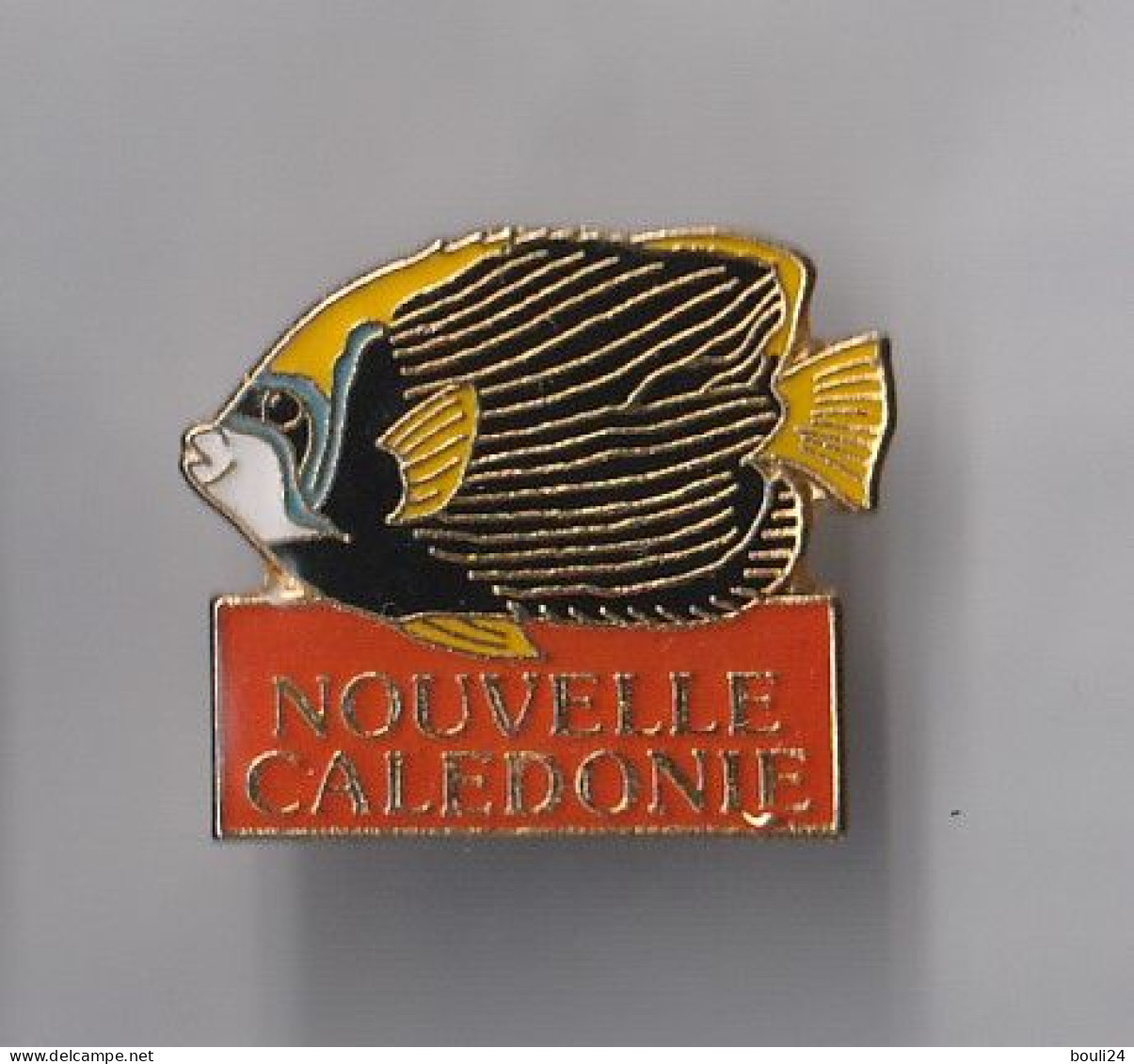 PIN'S THEME ANIMAUX POISSON DE ROCHE  EN NOUVELLE CALEDONIE - Animals