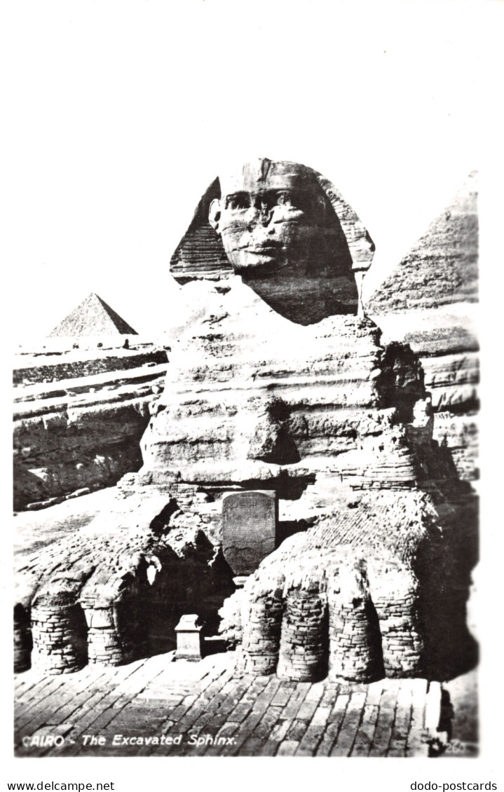 R330551 Cairo. The Excavated Sphinx. Forte - Monde