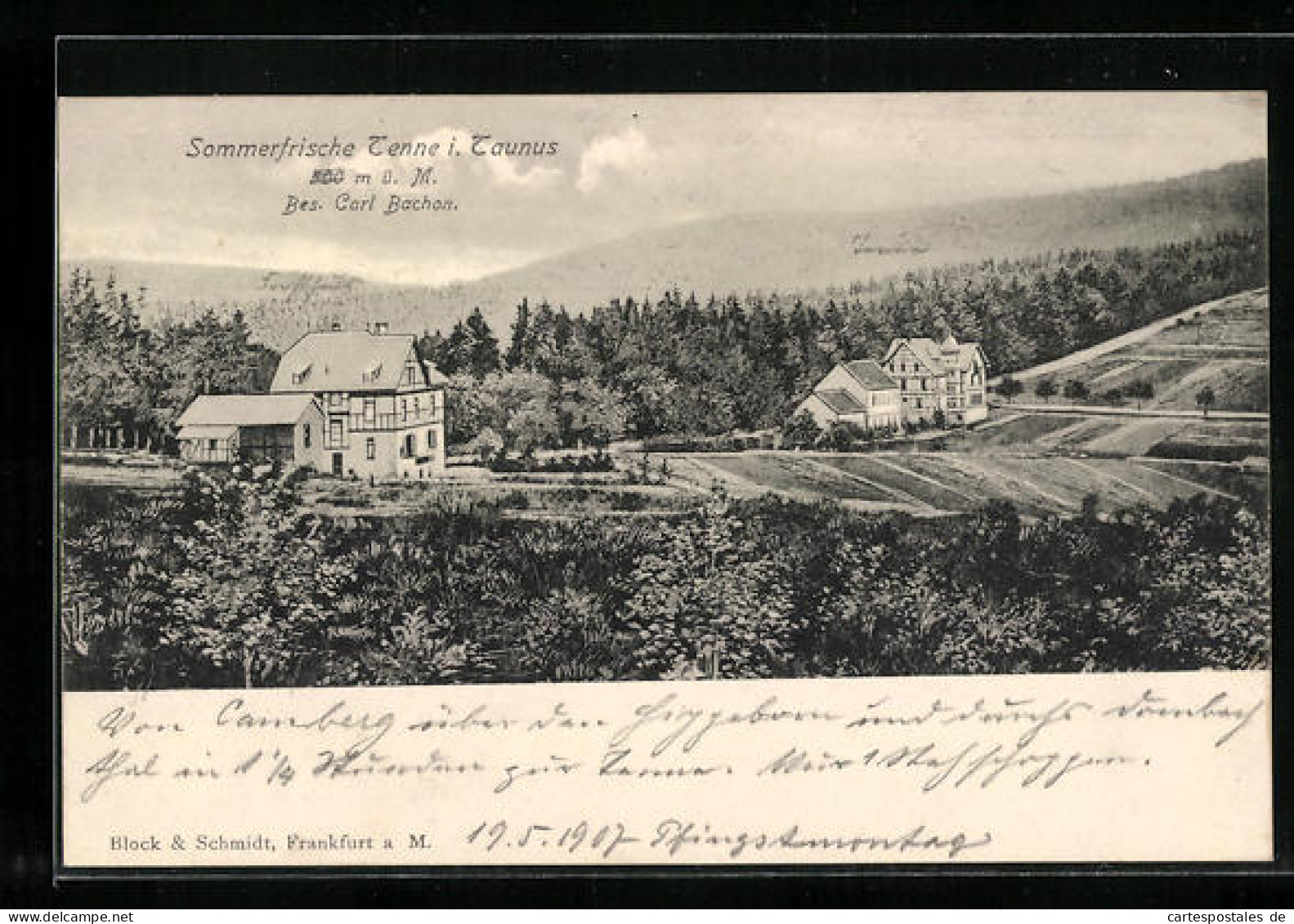 AK Tenne Im Taunus, Landschaftsbild Mit Forsthaus  - Jacht