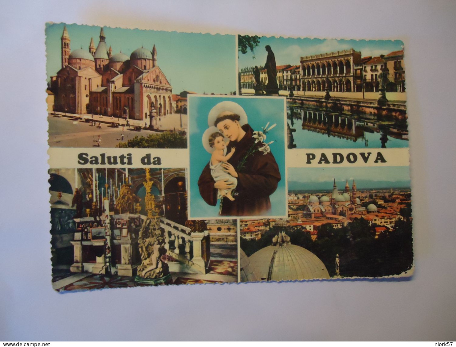 ITALY POSTCARDS   PADOVA SALUTI 1961 - Sonstige & Ohne Zuordnung