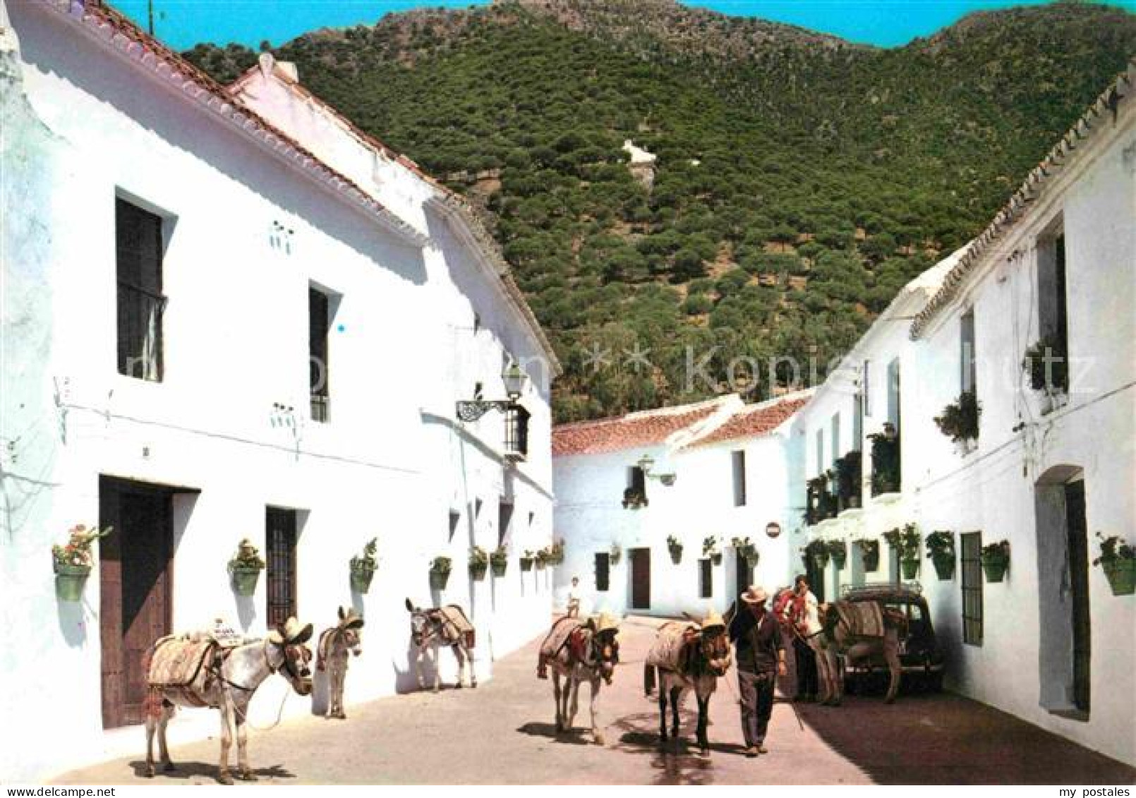 72856203 Mijas Esel Mijas - Andere & Zonder Classificatie