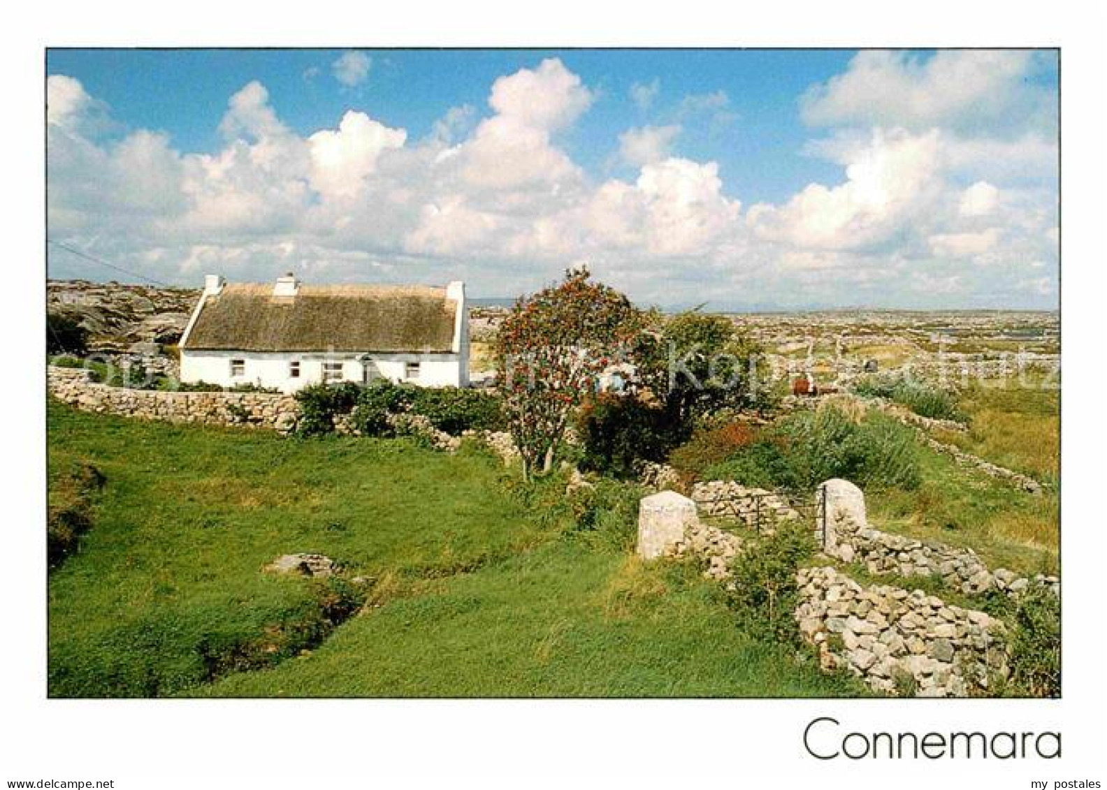 72856079 Connemara Haus Auf Dem Land Connemara - Autres & Non Classés