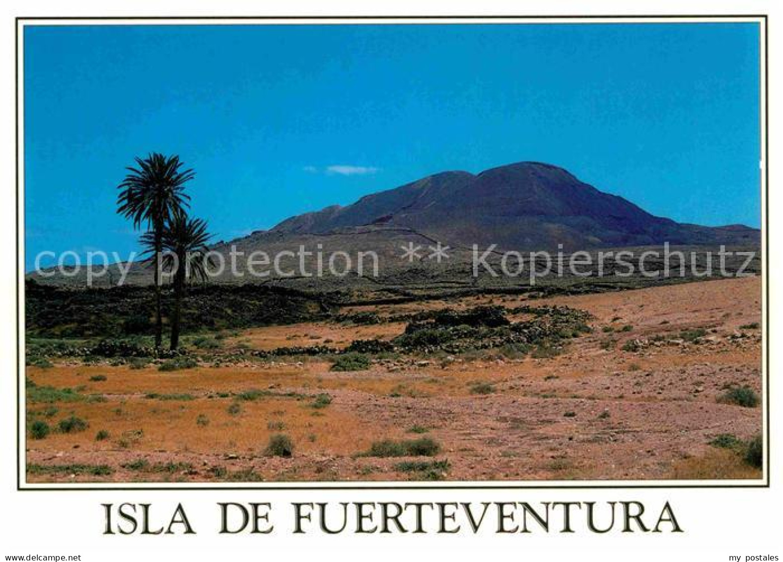 72856015 La Oliva Paisaje Volcanico Landschaftspanorama La Oliva - Otros & Sin Clasificación