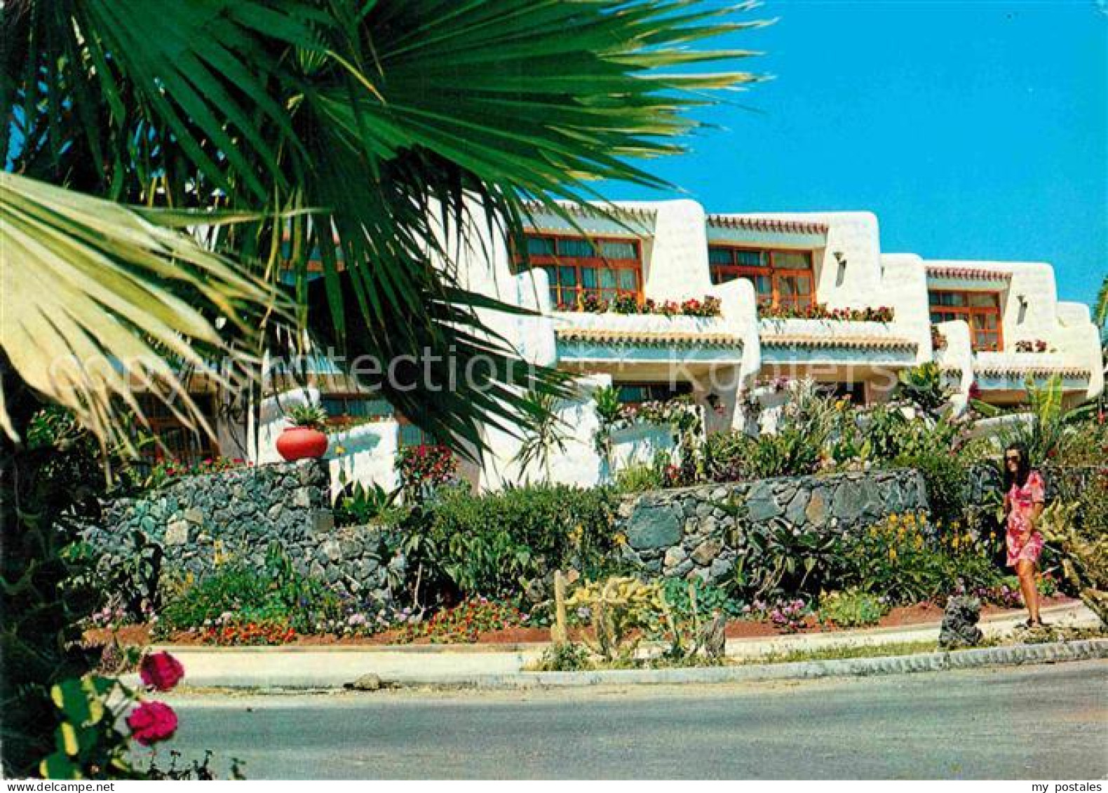 72855912 Playa De Las Americas Rincon Tipico Playa De Las Americas - Sonstige & Ohne Zuordnung