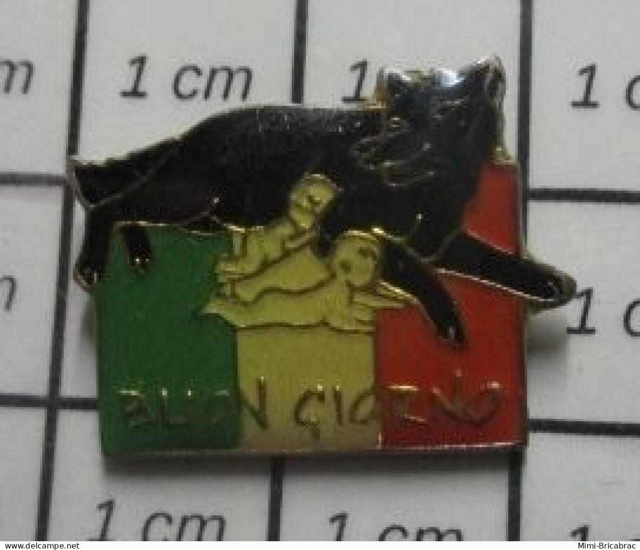 912c Pin's Pins / Beau Et Rare / ANIMAUX / LOUVE ROMAINE RoMULUS REMUS DRAPEAU ITALIE BUON GIORNO BONJOUR - Animaux