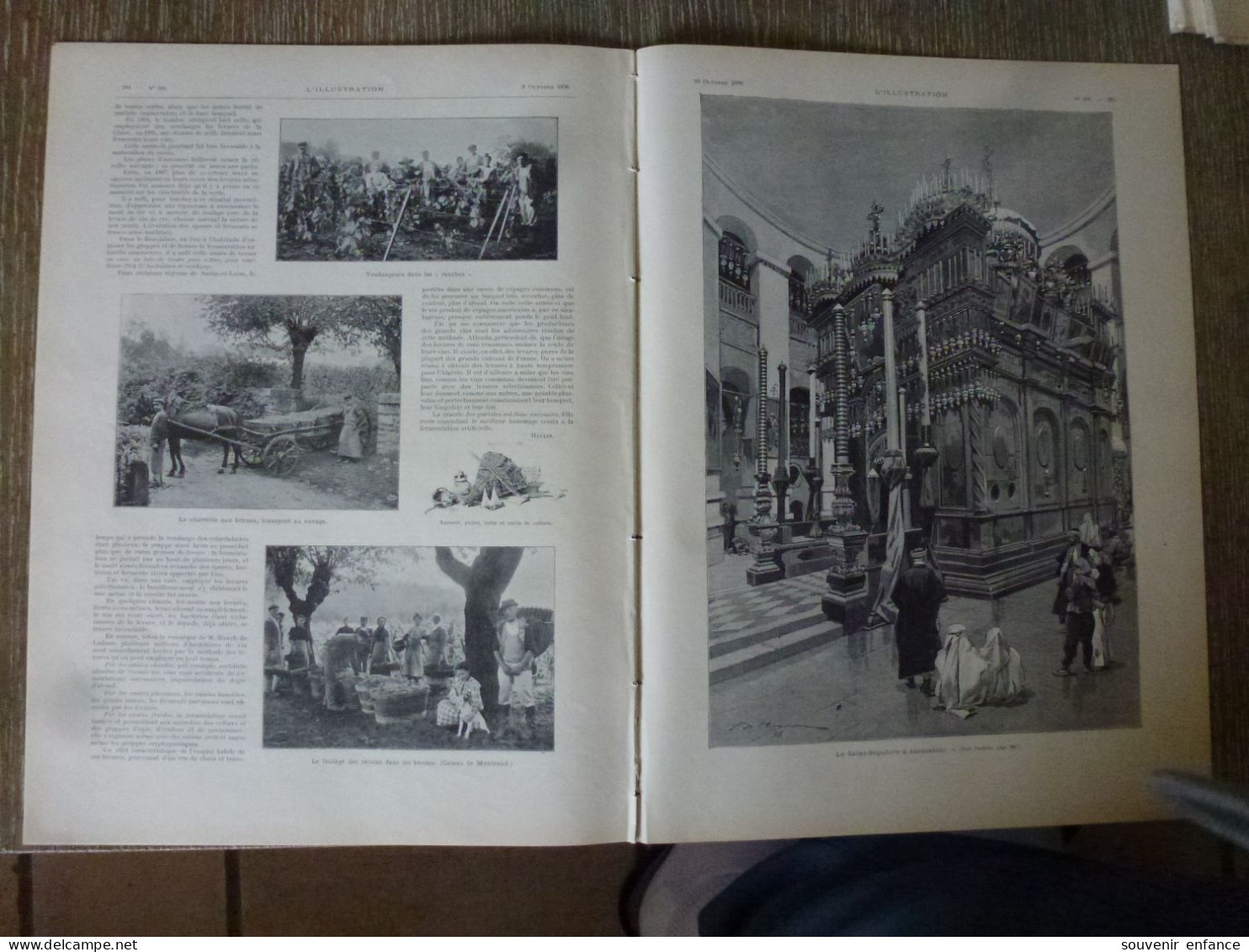 L'Illustration Octobre 1898 Cour De Cassation Iles Du Diable Salut Cayenne Vendanges En Bourgogne - 1850 - 1899