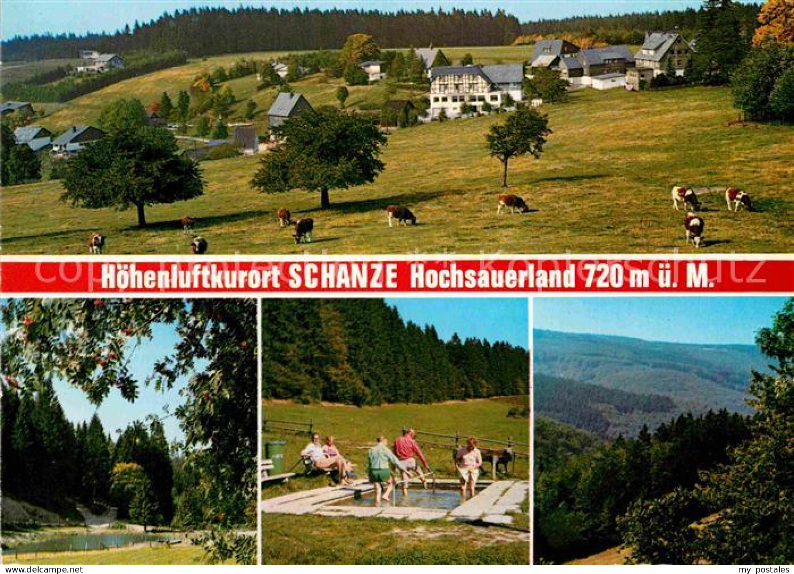 72855532 Schanze Sauerland Wassertreten Partie Am See Kuehe Schanze Sauerland - Schmallenberg