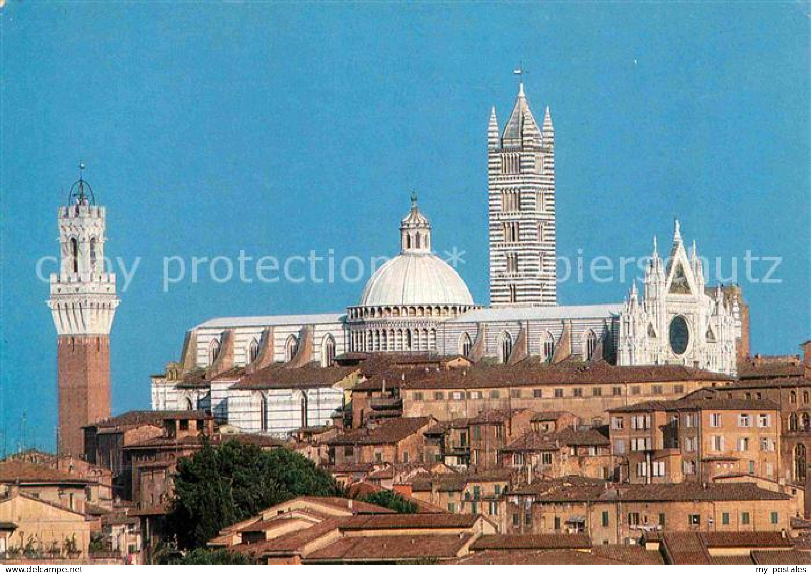 72855335 Siena Cattedrale E La Torre Del Mangia Siena - Sonstige & Ohne Zuordnung