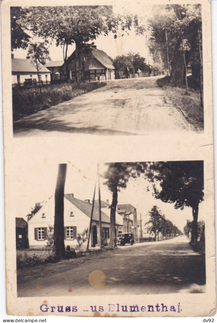 ALLEMAGNE GRUSS AUS BLUMENTHAL CARTE PHOTO - Andere & Zonder Classificatie