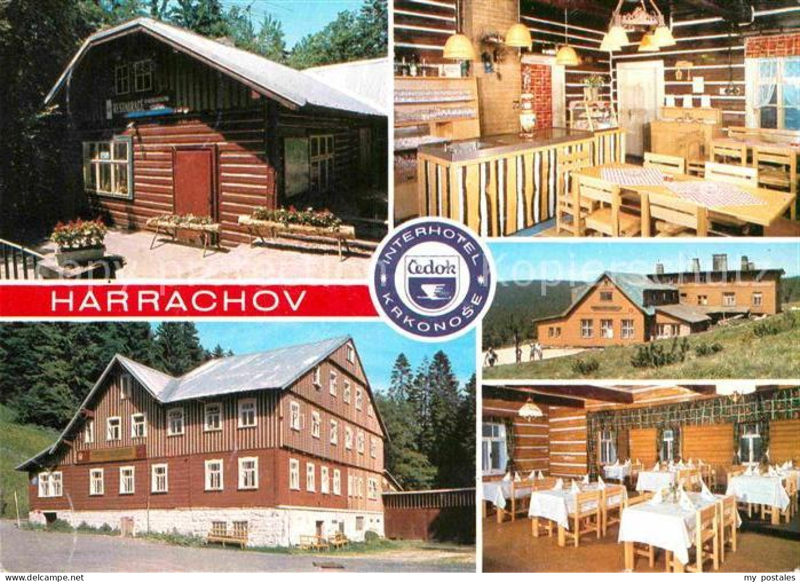 72854697 Harrachov Harrachsdorf Restaurant U Mumlavskeho Harrachov Harrachsdorf - Tchéquie