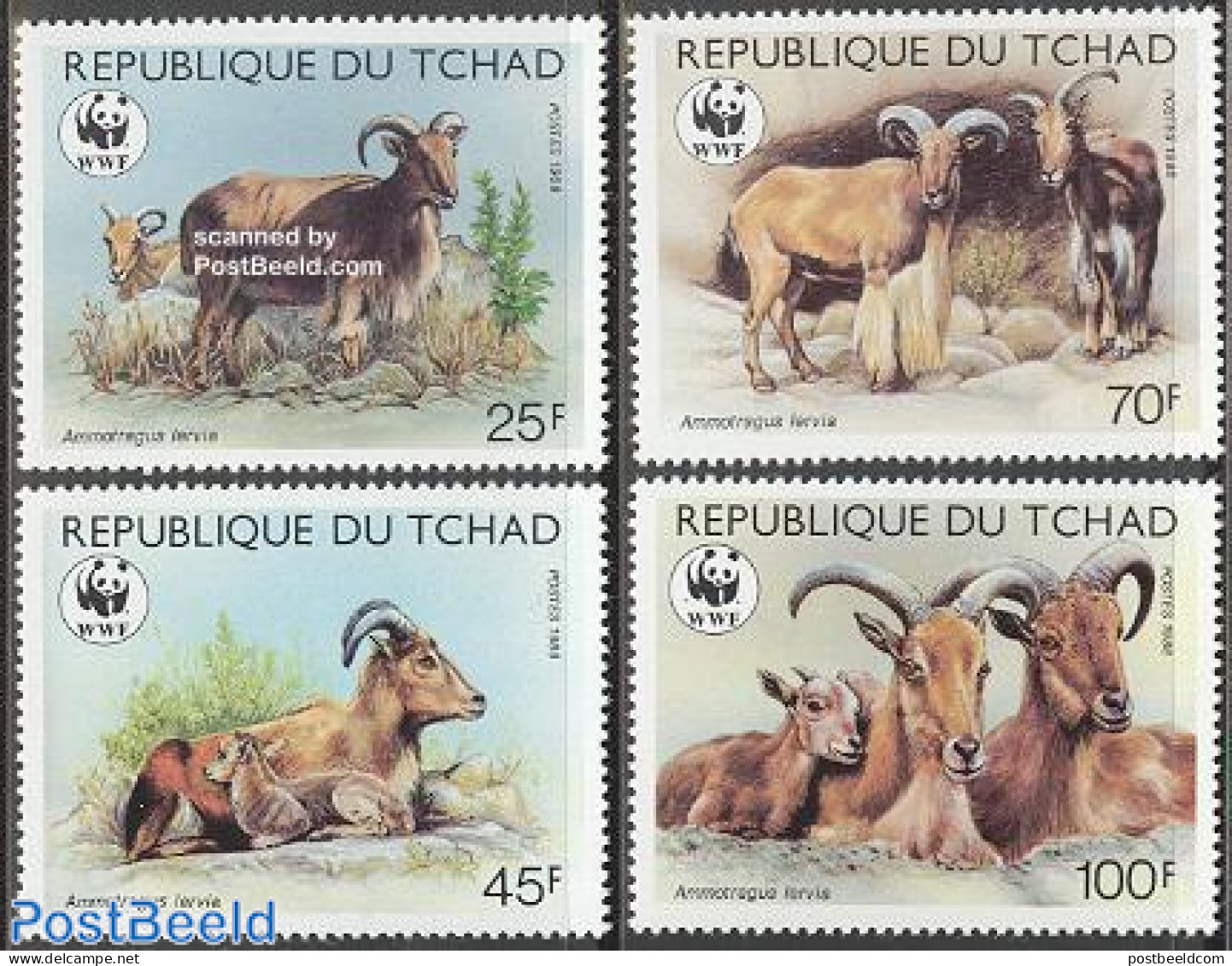 Chad 1988 WWF, Barbary Sheep 4v, Mint NH, Nature - Animals (others & Mixed) - World Wildlife Fund (WWF) - Sonstige & Ohne Zuordnung