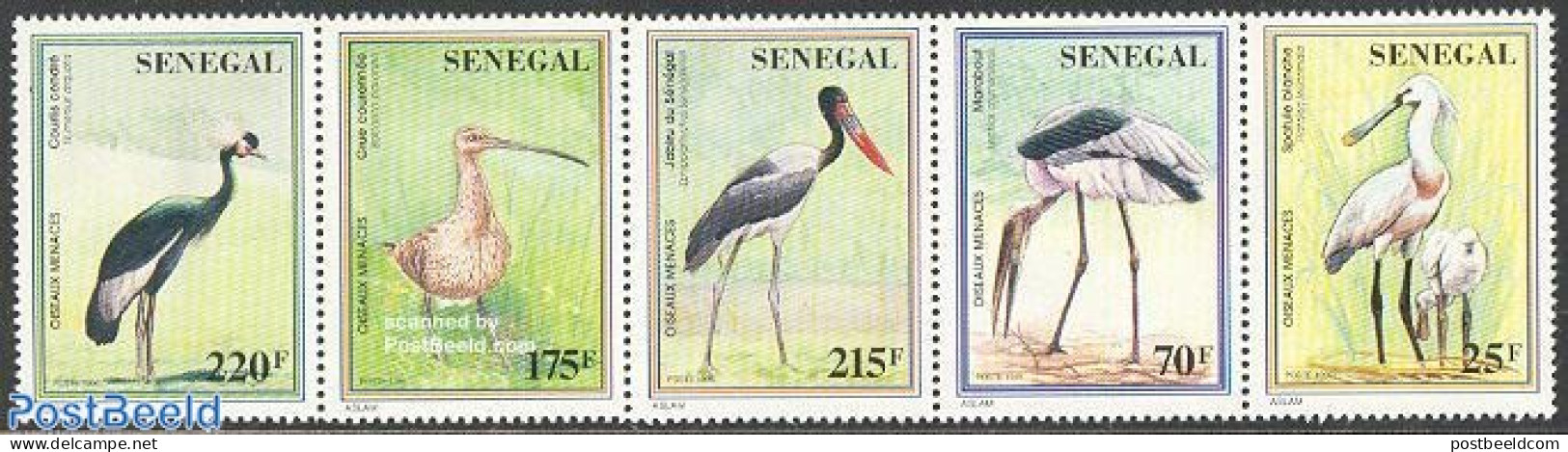 Senegal 1997 Endangered Birds 5v [::::], Mint NH, Nature - Birds - Storks - Senegal (1960-...)