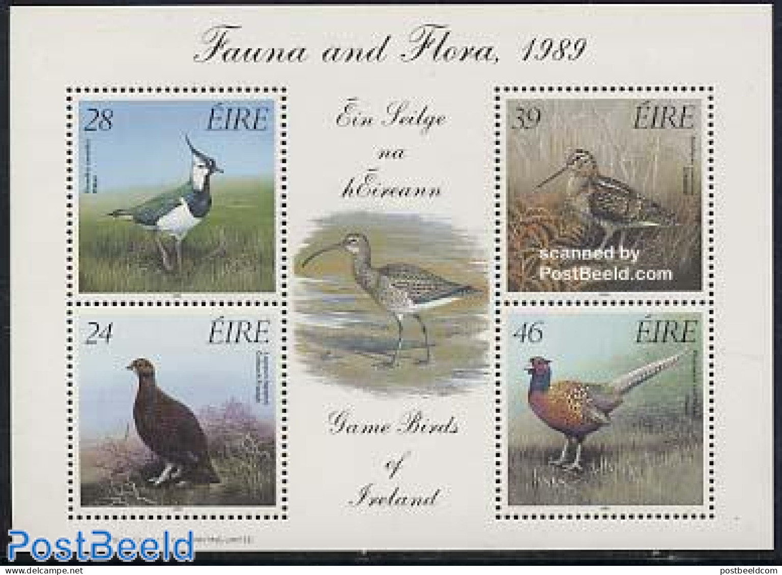 Ireland 1989 Birds S/s, Mint NH, Nature - Birds - Poultry - Unused Stamps